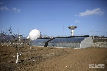 理想者，从三里屯到农场4