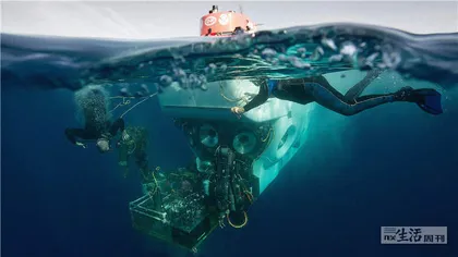 深海诱惑