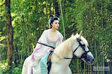 危险流量6
