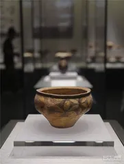 河南出土仰韶文化器物