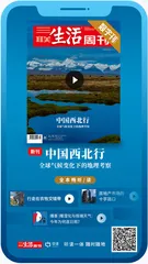 主编说｜沙漠变绿洲：从西北看全球气候变化