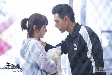 “烂剧”背后的套路？2