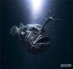 黑暗中的精灵1