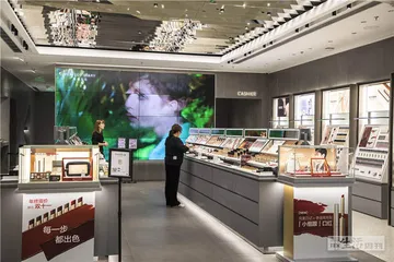 国货彩妆的崛起与隐忧2