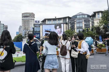 耽改、CP粉和新流量