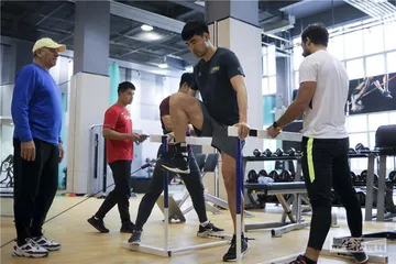 智齿与智慧