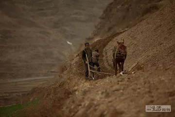 暖湿化，科学的发现与证明1