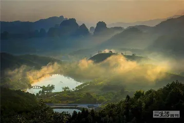 武夷红茶：工业化的路径1