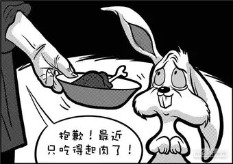 声音（1161）