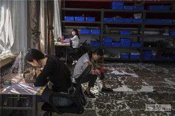 从洮河到陇东：马家窑与仰韶的互动7