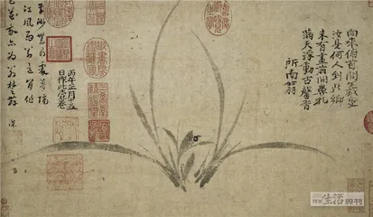 一函册页，一捧遗珠2