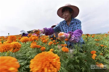 G229国道车祸：危险的上工之路1