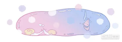 蜗牛的爱情