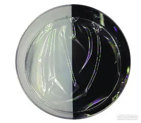 好东西（1155）1