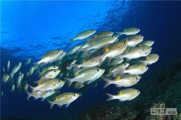 好消息·坏消息（1157）3