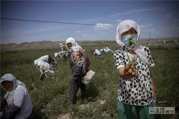 由祁连山脉所塑造的美食传统8