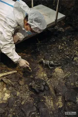 再探三星堆现场：坑内万象6