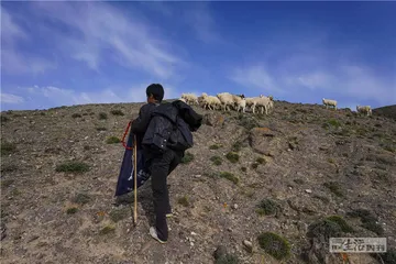 黄河石林越野跑经过的那些村庄1