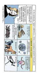 漫画试读 | 人类简史：用漫画故事回看人类的史诗历程29