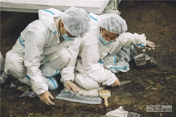 再探三星堆现场：坑内万象13