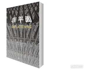 《非平面》：用漫画写成的博士论文2
