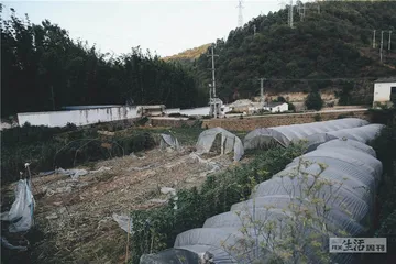 上海：红日出东方10