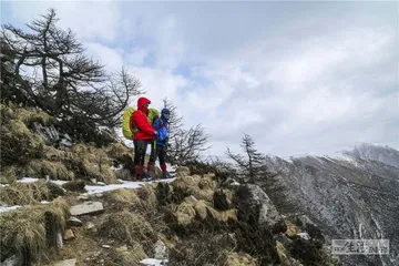 生死“龙脊”：鳌太穿越20年