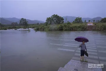 炭河里：走进“宁乡青铜器群”谜题4