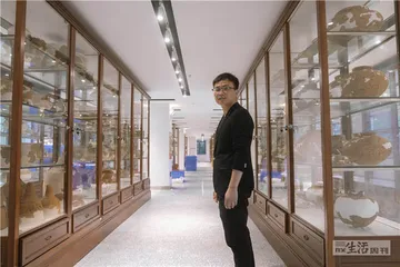炭河里：走进“宁乡青铜器群”谜题7