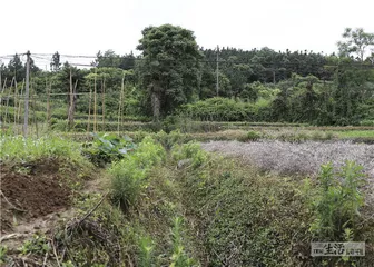 商代青铜之源：两大铜矿遗址1