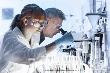 长寿与脑细胞维修艺术