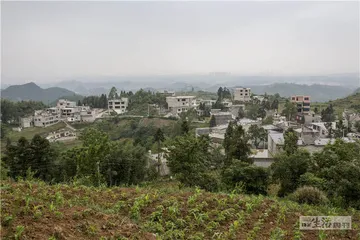 杂技少年的一次出走2
