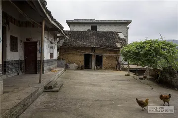 杂技少年的一次出走4