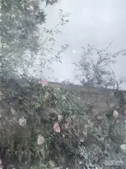 何多苓，潮流的旁观者3