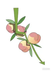 消费·理财（1145）3