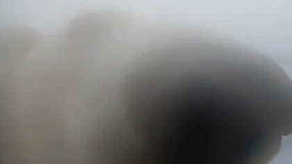 两极：深海科学家和摄影师讲述极地现状27