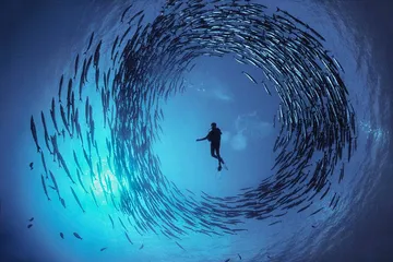 赤道：海洋生物的“大灭绝时代”2