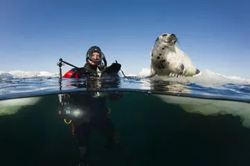 赤道：海洋生物的“大灭绝时代”20