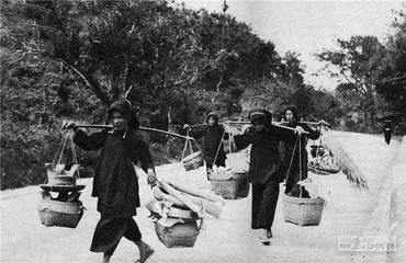 杨振宁在西南联大10