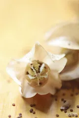 乐山甜之乐3