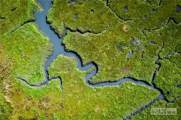 好消息·坏消息（1146）1