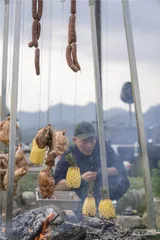 火的本能2