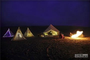 月光下的沙漠是玫瑰色的