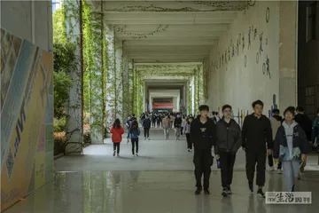 “蓝领”是否在崛起？5