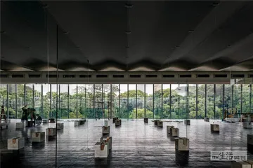 迟到的“终身成就”金狮奖2