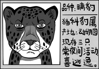 声音（1137）