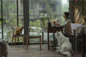 重庆：山城褶皱里的年轻咖啡馆1