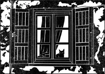 寻找黑猫