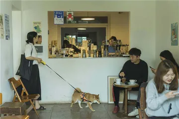 黄桷树下有家咖啡馆3