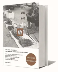 梁庄十年1